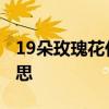 19朵玫瑰花代表什么意思 19朵玫瑰花代表意思