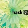 haski是什么牌子 haski是啥牌子