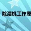 除湿机工作原理是什么 除湿机的原理是什么