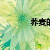 荞麦的功效与作用 荞麦图片