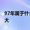 97年属于什么生肖年 97年属于什么生肖年多大