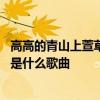 高高的青山上萱草花开放是什么歌 高高的青山上萱草花开放是什么歌曲