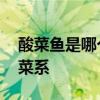酸菜鱼是哪个地方的菜 酸菜鱼是哪个地方的菜系