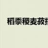 稻黍稷麦菽指什么 稻黍稷麦菽指什么作物