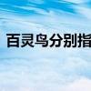 百灵鸟分别指哪一类人 百灵鸟是指哪一类人