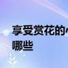 享受赏花的心情短语 享受赏花的心情短语有哪些