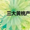 三大黄桃产地 三大黄桃产地分布在哪里