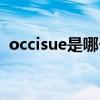 occisue是哪个的品牌  occisue是什么牌子