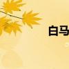 白马寺简介 白马寺的简介