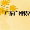 广东广州特产有哪些 广州的特产都有什么
