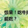 惊呆！吃牛排能长出5米虫子？哪些食物的虫能吃？