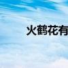 火鹤花有毒吗 室内养火鹤花有毒吗
