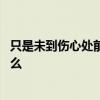 只是未到伤心处前一句是什么 只是未到伤心处前面一句是什么 