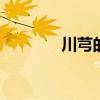 川芎的功效与作用 川芎图片