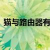 猫与路由器有什么区别 猫和路由器有啥区别