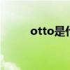 otto是什么梗 电棍otto是什么梗