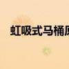 虹吸式马桶原理是什么 虹吸式马桶的原理
