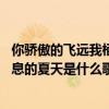 你骄傲的飞远我栖息的夏天是什么歌 歌词你骄傲的飞远我栖息的夏天是什么歌