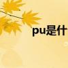 pu是什么面料  pu是指什么面料