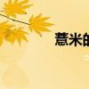 薏米的功效与作用 薏米图片