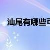 汕尾有哪些可以带走的特产 广东汕尾特产