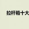 拉杆箱十大品牌排行榜 拉杆箱十大名牌