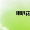 喇叭花花语 喇叭花花语是什么