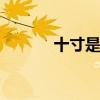 十寸是多大 十寸是多大的尺寸