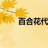 百合花代表什么意思 百合花的寓意
