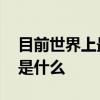 目前世界上最大的蛇 目前世界上最大的蛇类是什么