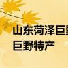 山东菏泽巨野县知名特产有哪些 适合带走的巨野特产
