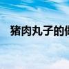 猪肉丸子的做法 家常猪肉丸子怎么做好吃