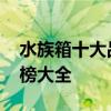 水族箱十大品牌排行榜 水族箱十大品牌排行榜大全