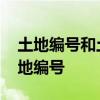 土地编号和土地证号的区别是什么 什么是土地编号