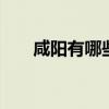 咸阳有哪些特产 陕西咸阳特产有哪些