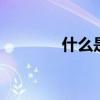 什么是记账员 记账员是什么