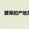 腰果的产地是哪里 腰果的产地是哪个地方