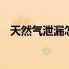 天然气泄漏怎么办 天然气泄漏的解决办法