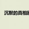 沉默的真相剧情介绍 沉默的真相剧情简介