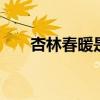 杏林春暖是什么意思 杏林春暖的来源
