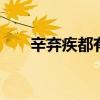 辛弃疾都有哪些诗 辛弃疾的代表作品