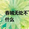 春城无处不飞花全诗 春城无处不飞花全诗是什么