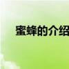 蜜蜂的介绍以及特点 蜜蜂的特点有哪些