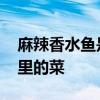 麻辣香水鱼是哪里的菜 麻辣香水鱼是属于哪里的菜