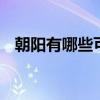 朝阳有哪些可以带走的特产 辽宁朝阳特产