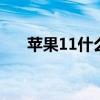 苹果11什么时候上市 苹果11上市时间
