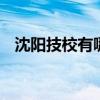 沈阳技校有哪些学校 沈阳有哪些技术学校
