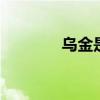 乌金是什么 乌金是什么金属