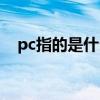 pc指的是什么材料  pc指的是指什么材料