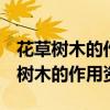 花草树木的作用 花草树木的作用是什么 花草树木的作用资料